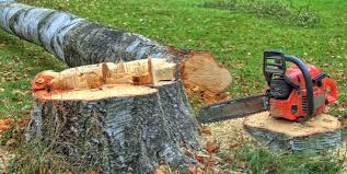 Best Tree Disease Treatment  in Fort Oglethorpe, GA