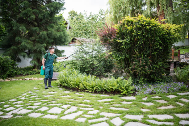 Best Lawn Maintenance Plans  in Fort Oglethorpe, GA