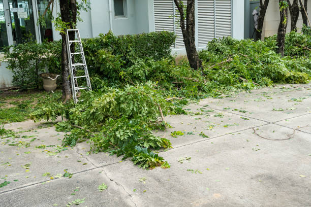 Best Tree Health Inspection  in Fort Oglethorpe, GA