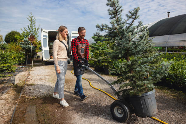 Best Fruit Tree Pruning  in Fort Oglethorpe, GA